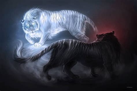 Magical cat tiger and vunny